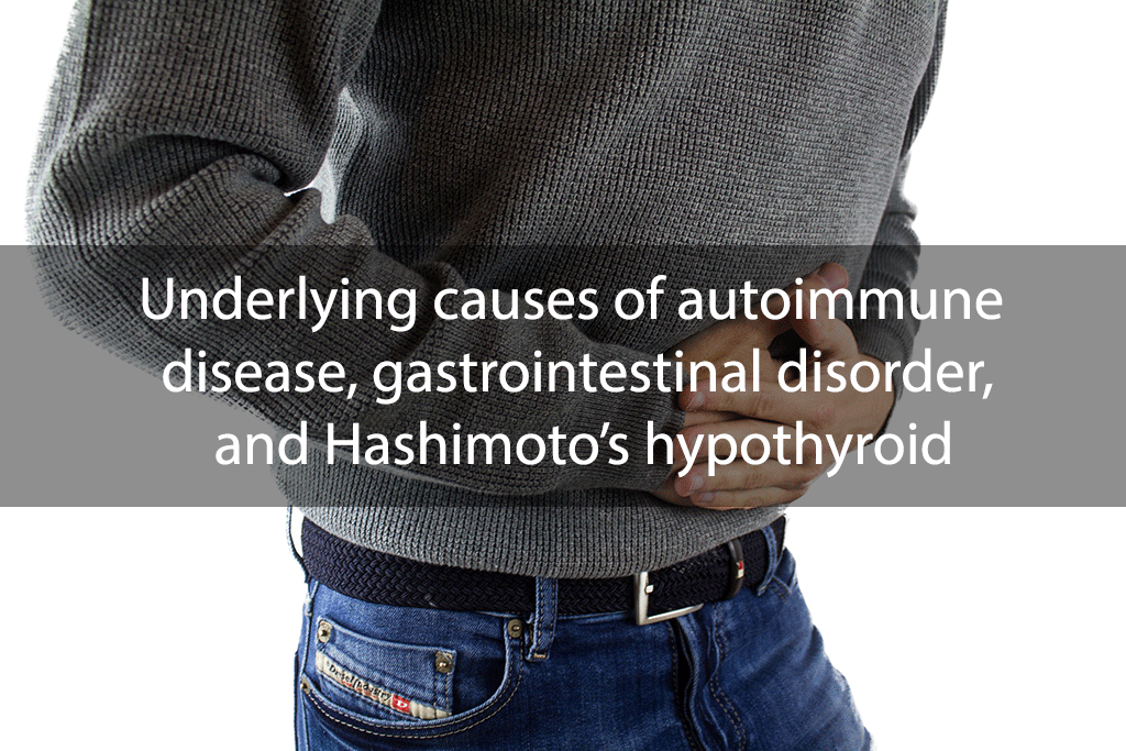 Underlying causes of autoimmune disease, gastrointestinal disorder, and Hashimoto’s hypothyroid