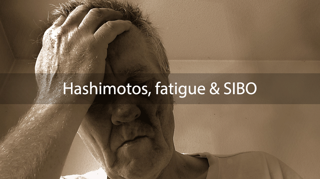 Hashimotos, fatigue & SIBO