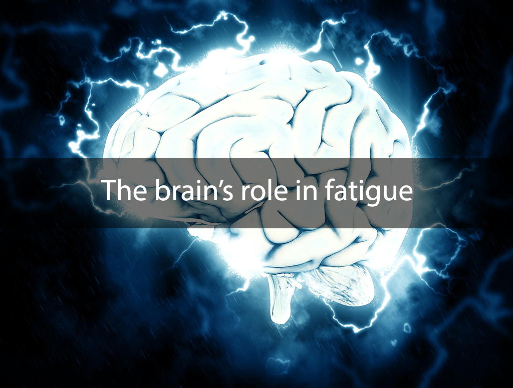 The brain's role in fatigue - Hope Integrative Wellness Center