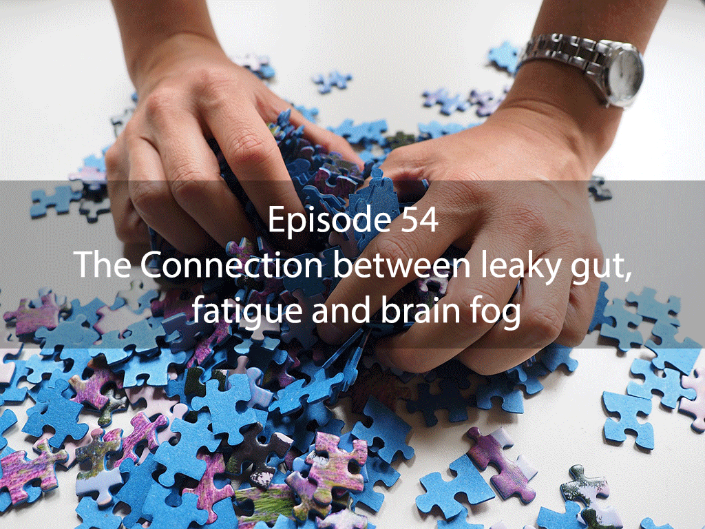 AskDrKan Show – Episode 54 – The Connection between leaky gut, fatigue and brain fog