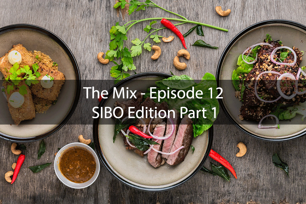 The Mix – Episode 12 – SIBO Edition Part 1