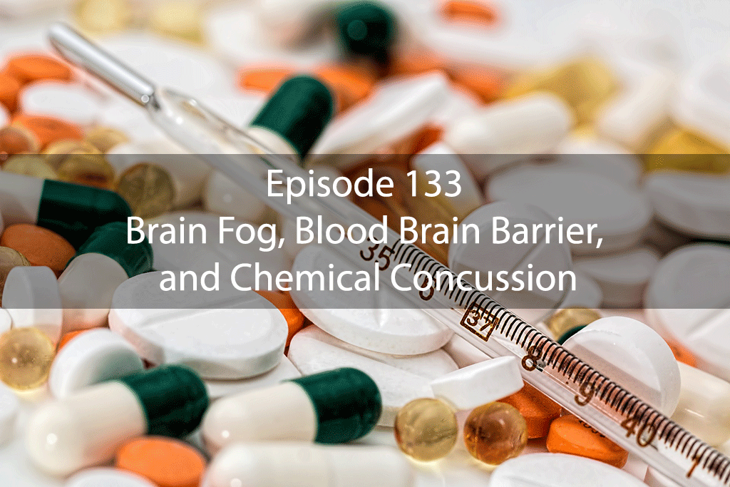 Ask Dr Kan Show Ep 133 – Brain Fog, Blood Brain Barrier, and Chemical Concussion
