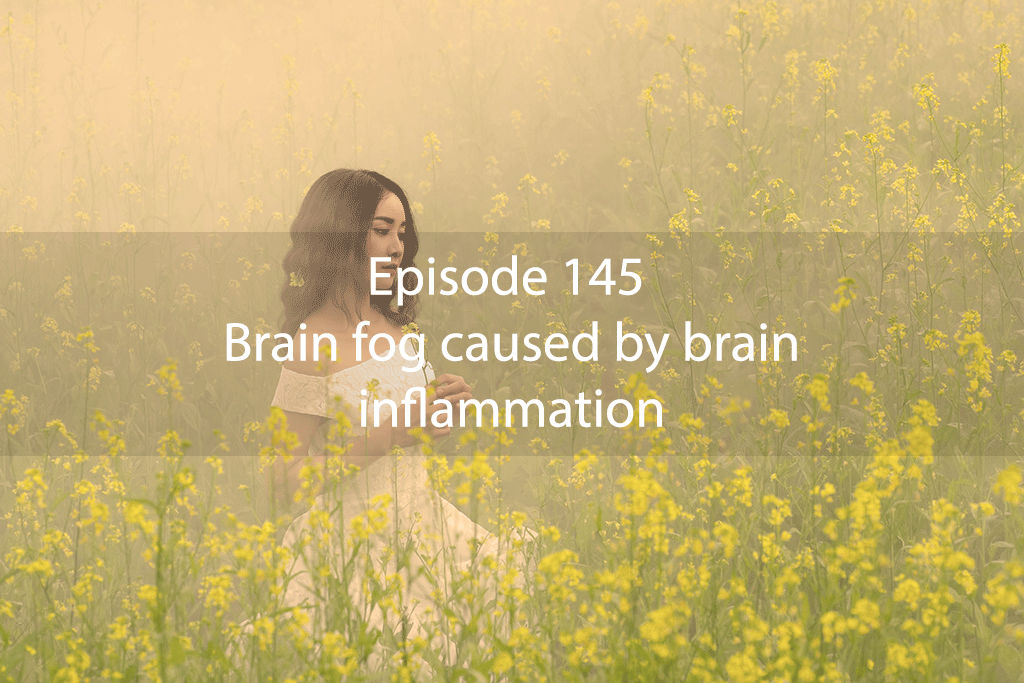 Ask Dr Kan Show Ep 145 – Brain fog caused by brain inflammation