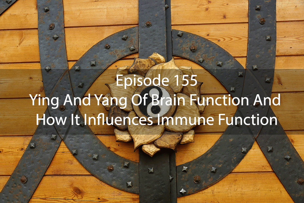 Ask Dr Kan Ep 155 – Ying And Yang Of Brain Function And How It Influences Immune Function