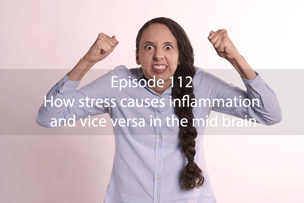 Ask Dr Kan Episode 112 – How stress causes inflammation and vice versa in the mid brain