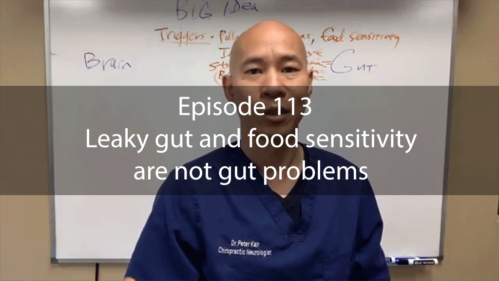 Ask Dr Kan Show Episode 113 – Leaky gut and food sensitivity are not gut problems