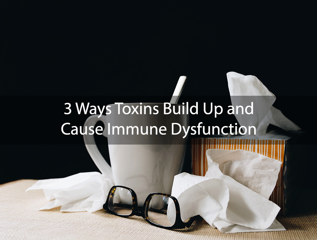 3 Ways Toxins Build Up and Cause Immune Dysfunction