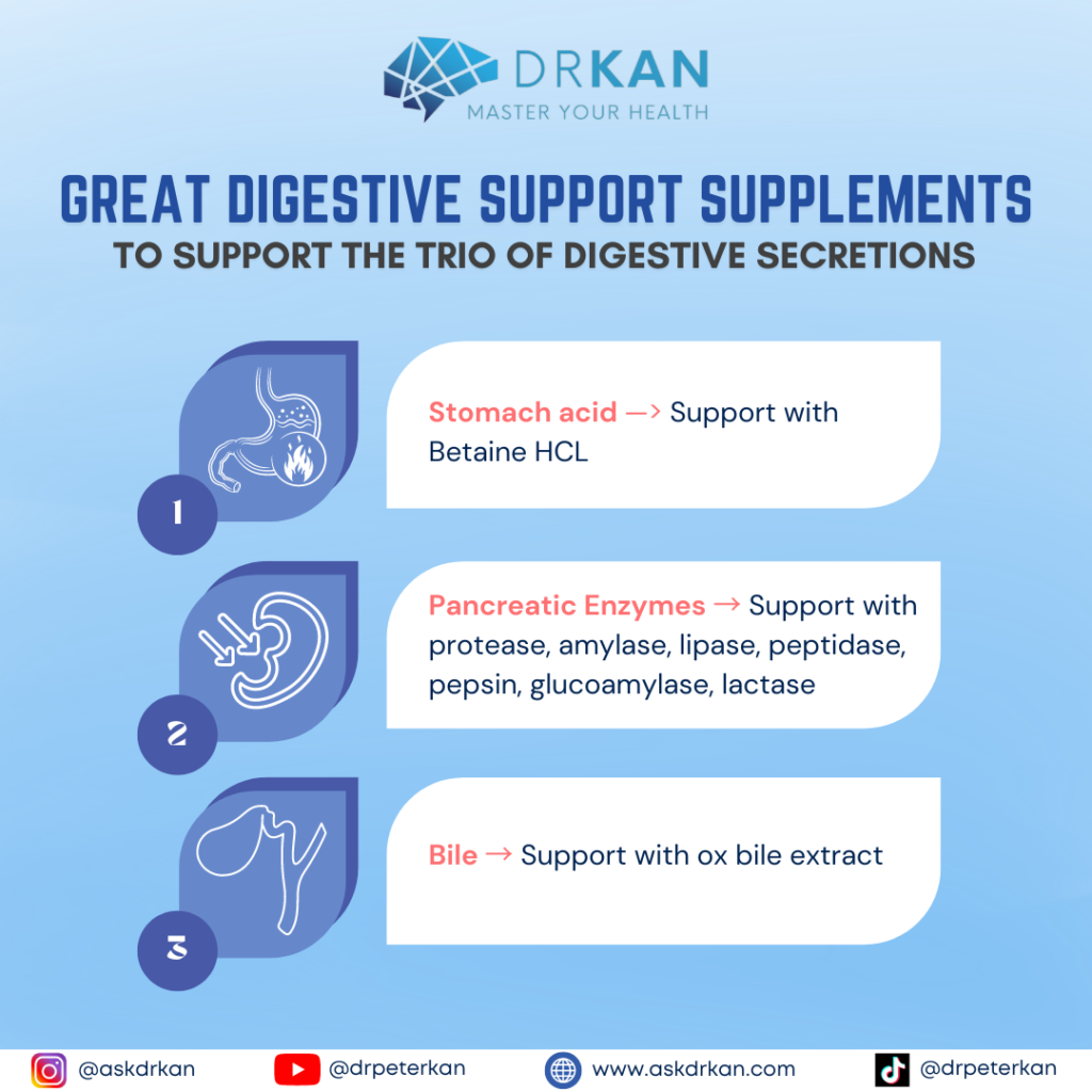 Great Digestive Support Supplements for Improved Digestion