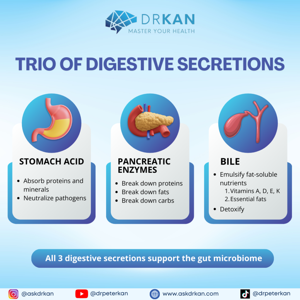 Trio of Digestive Secretions