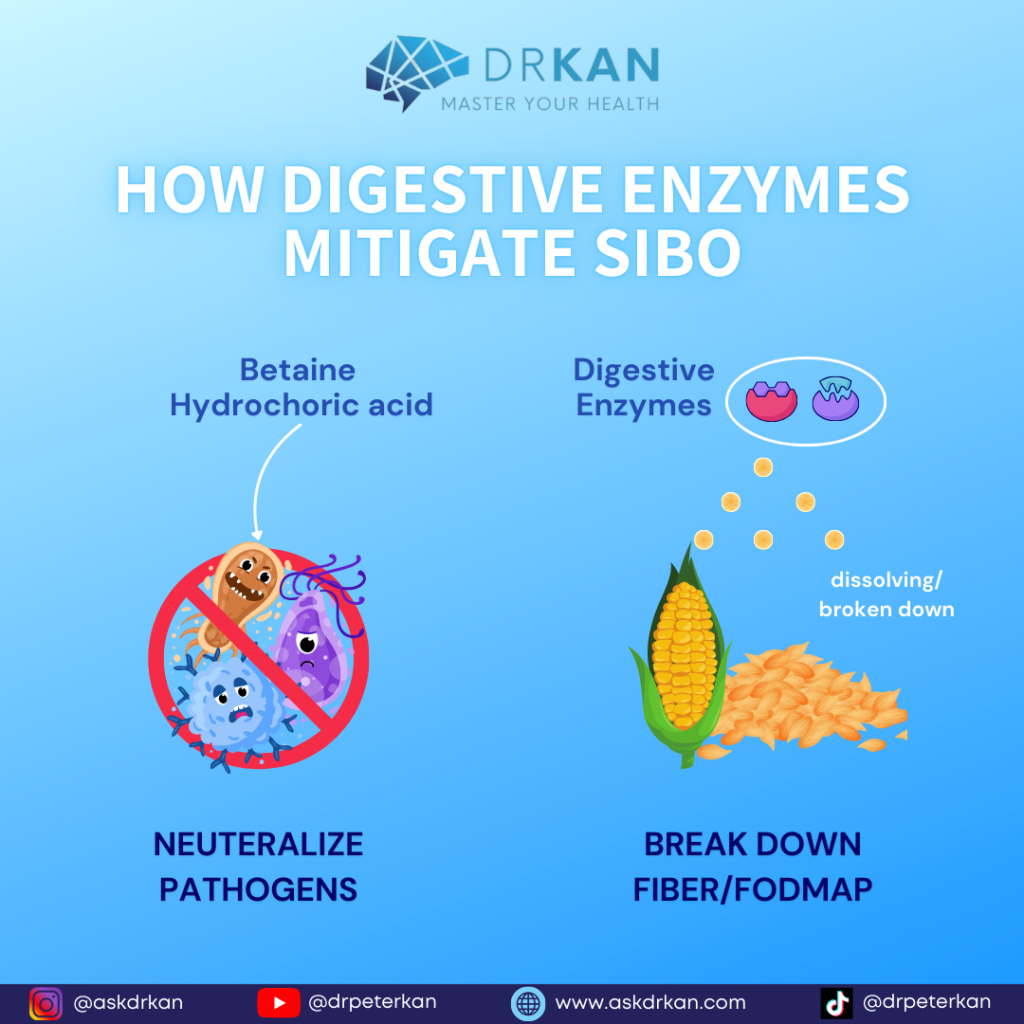 How Digestive Enzymes Mitigate SIBO